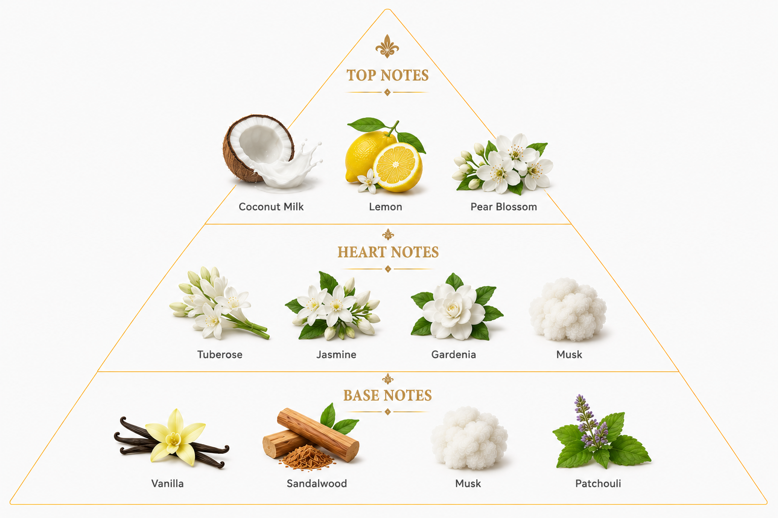 Coconut Vanilla – Creamy Floral Extrait de Parfum