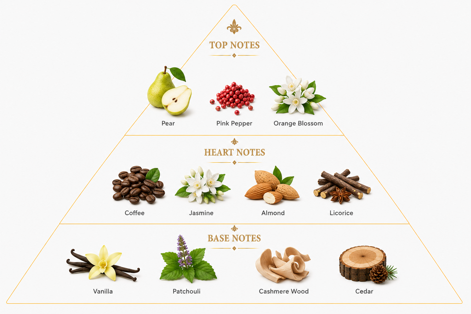 Coffee Vanilla – Warm Gourmand Extrait de Parfum