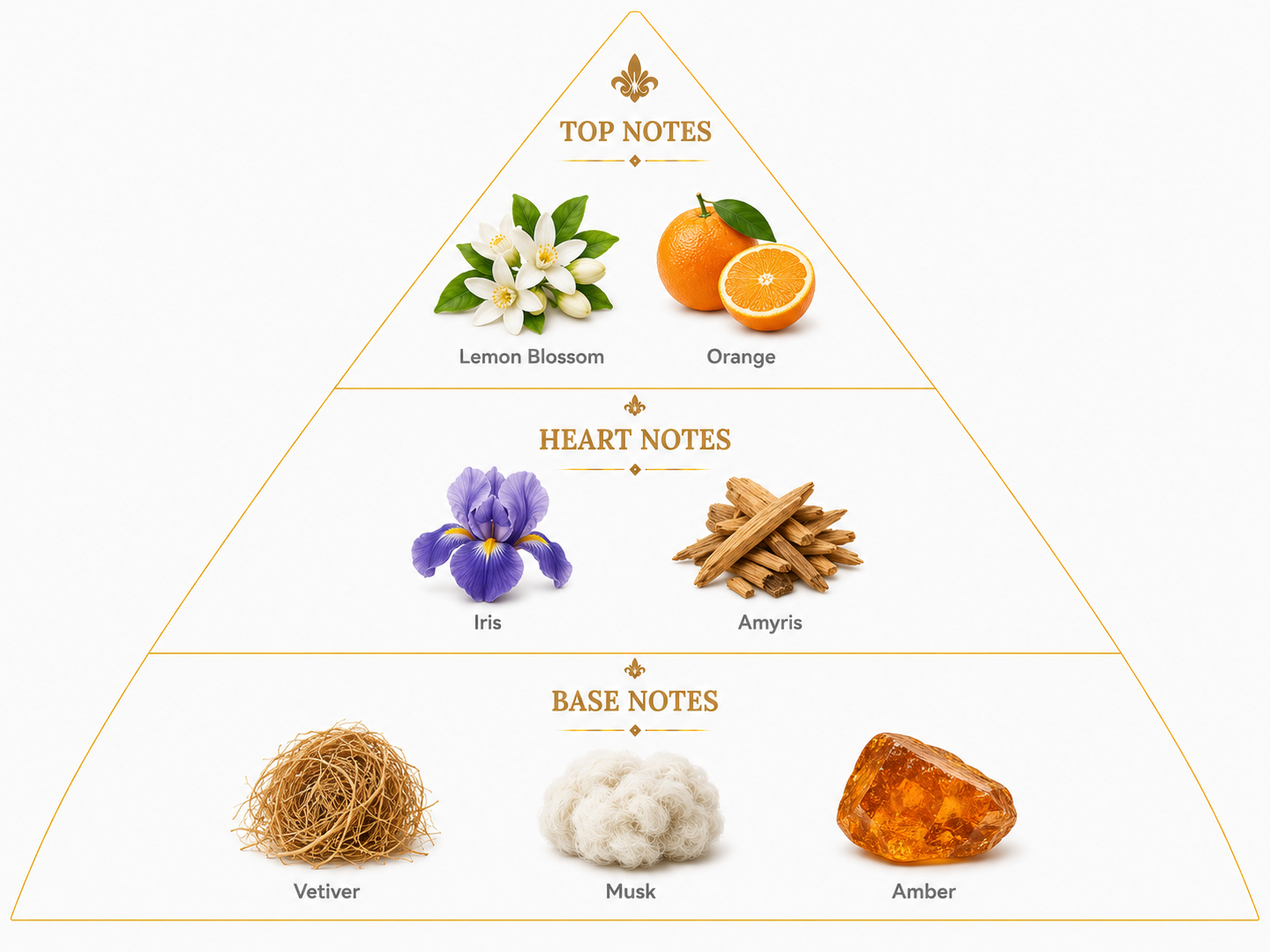 Iris Wood – Woody Floral Extrait de Parfum For Her