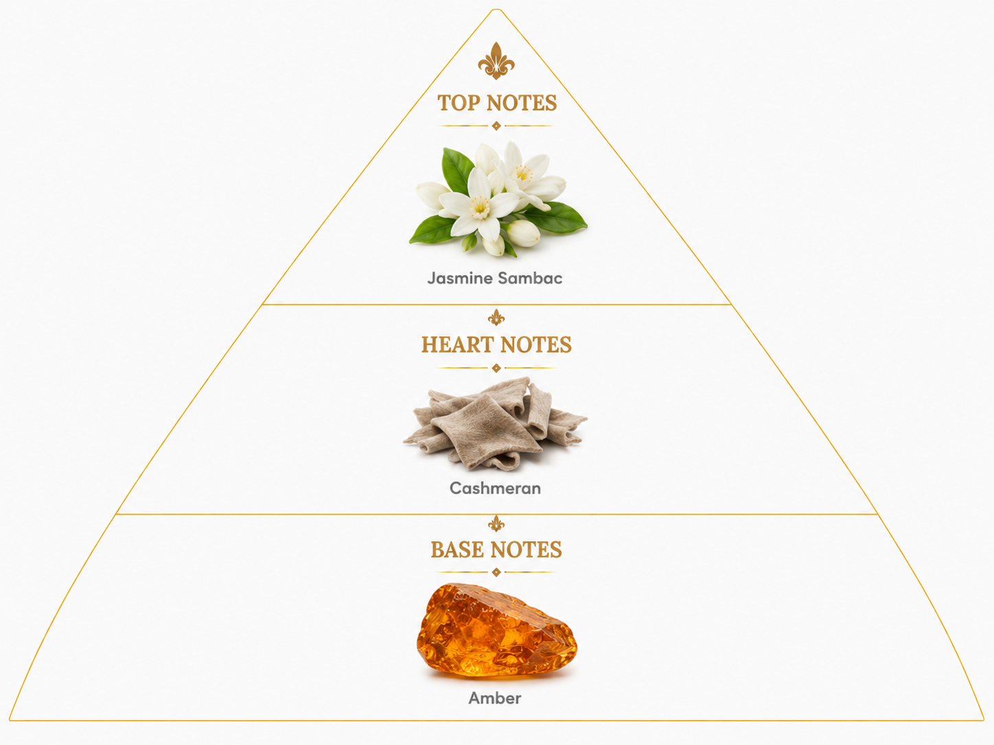 Jasmine Amber – Floral Amber Extrait de Parfum For Her