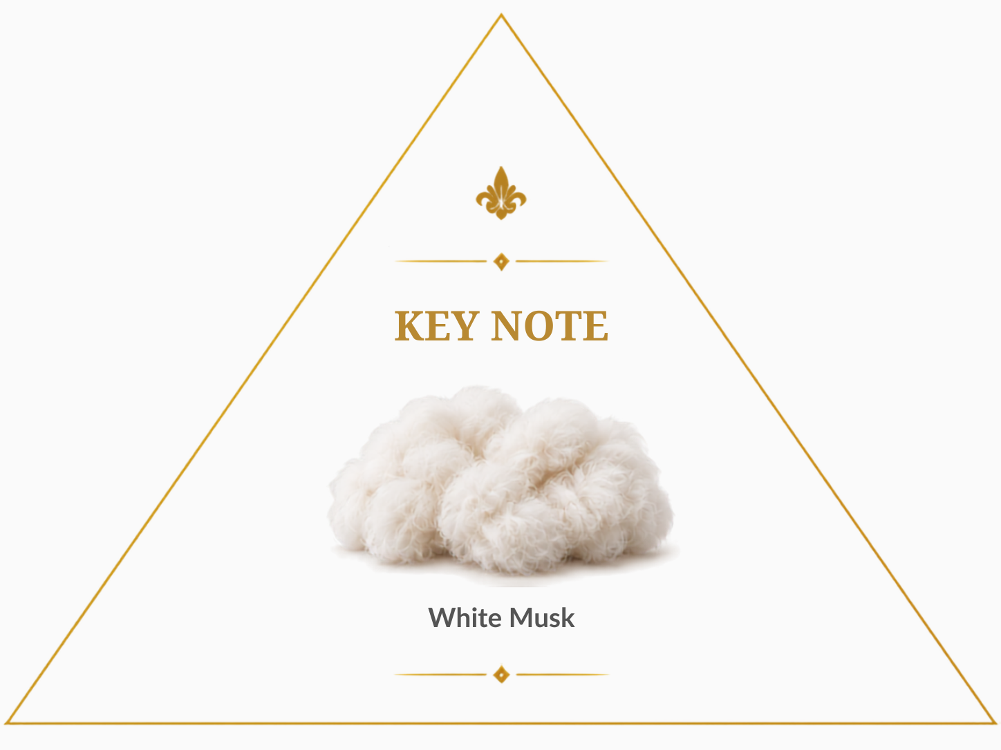 Pure Musk – Clean White Musk Unisex